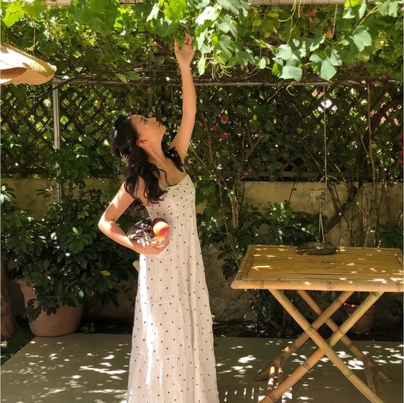 New Zara Embroidered Floral Dress - 0881/323 - Picture 13 of 16